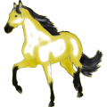 Pegasus-Reitpferd Araber Brauner