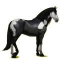 Reitpferd Andalusier Dunkelfuchs mit heller Mähne