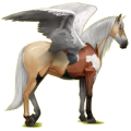 Pegasus-Reitpferd Andalusier Hellgrau