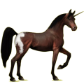 Einhorn-Reitpferd Araber Rotbrauner