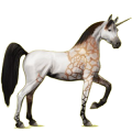 Einhorn-Reitpferd Araber Falbe