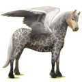 Pegasus-Pony Quarter Pony Fuchs mit Tobiano-Scheckung