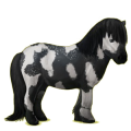 Pony Shetlandpony Rappe mit Tobiano-Scheckung