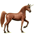 Einhorn-Reitpferd Araber Rotbrauner
