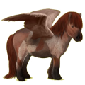 Pegasus-Pony Shetlandpony Dunkelfuchs