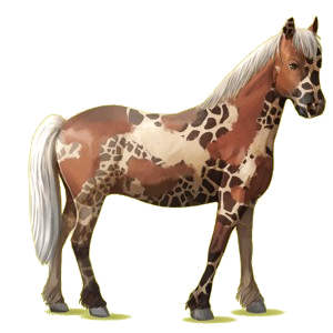 Pony Haflinger Fuchs mit heller Mähne