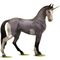 Einhorn-Reitpferd Marwari Rappe