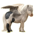 Pegasus-Pony Shetlandpony Cremello