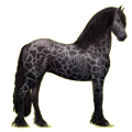 Reitpferd Friese Rappe