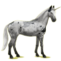 Einhorn-Reitpferd Deutsches Reitpferd Hellgrau