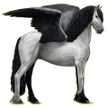 Pegasus-Reitpferd Friese Rappe