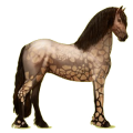 Reitpferd Friese Rappe