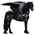 Pegasus-Reitpferd Friese Rappe