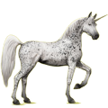 Einhorn-Reitpferd Araber Hellgrau