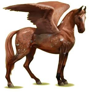 Pegasus-Reitpferd Marwari Fuchs