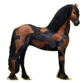Reitpferd Friese Rappe