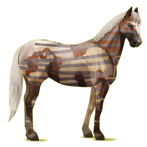 Reitpferd Paint Horse Falbe mit Overo-Scheckung