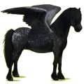 Pegasus-Pony Neufundland Pony Rappe