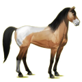 Reitpferd Brauner