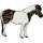 Pony Deutsches Reitpony Dunkelbrauner