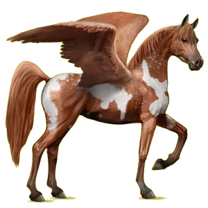 Pegasus-Reitpferd Araber Mausgrau