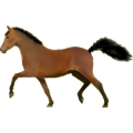 Pony Deutsches Reitpony Brauner
