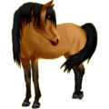 Pegasus-Reitpferd Araber Fuchs