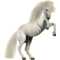 Reitpferd Friese Rappe