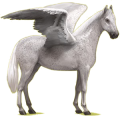 Pegasus-Reitpferd Hannoveraner Hellgrau