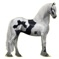 Reitpferd Friese Rappe