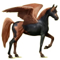 Pegasus-Reitpferd Araber Dunkelbrauner