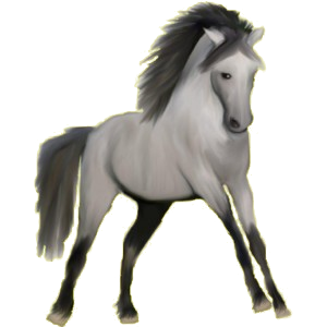 Reitpferd Mustang Falbe
