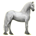 Reitpferd Friese Rappe