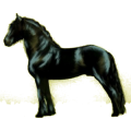 Pegasus-Reitpferd Friese Rappe