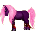 Pony Deutsches Reitpony Dunkelbrauner
