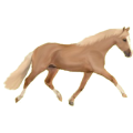 Pony Welsh Cob Rappe