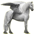 Pegasus-Reitpferd Friese Rappe