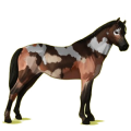 Pony Deutsches Reitpony Dunkelbrauner