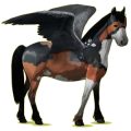 Pegasus-Pony Haflinger Palomino