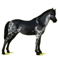 Pony Deutsches Reitpony Strawberry Roan