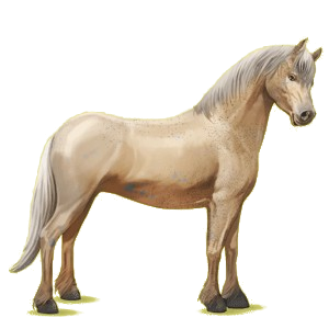 Pony Quarter Pony Palomino