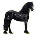 Reitpferd Friese Rappe