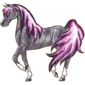 Reitpferd Araber Apfelschimmel