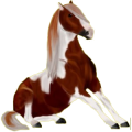 Pegasus-Reitpferd Paint Horse Brauner mit Overo-Scheckung