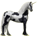 Einhorn-Reitpferd Friese Rappe