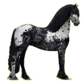 Pegasus-Reitpferd Friese Rappe
