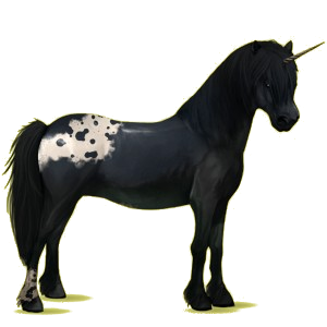 Einhorn-Pony Neufundland Pony Mausgrau
