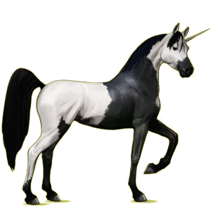 Einhorn-Reitpferd Araber Hellgrau