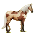 Reitpferd Andalusier Hellgrau