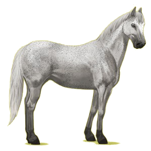 Reitpferd Paint Horse Brauner mit Tobiano-Scheckung